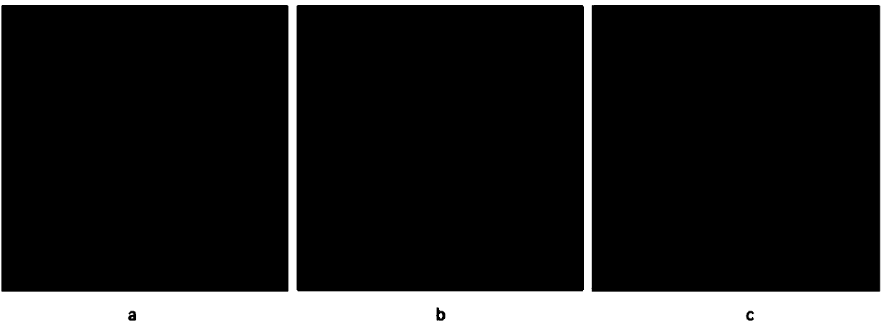 Photon mapping accelerating method based on point cache