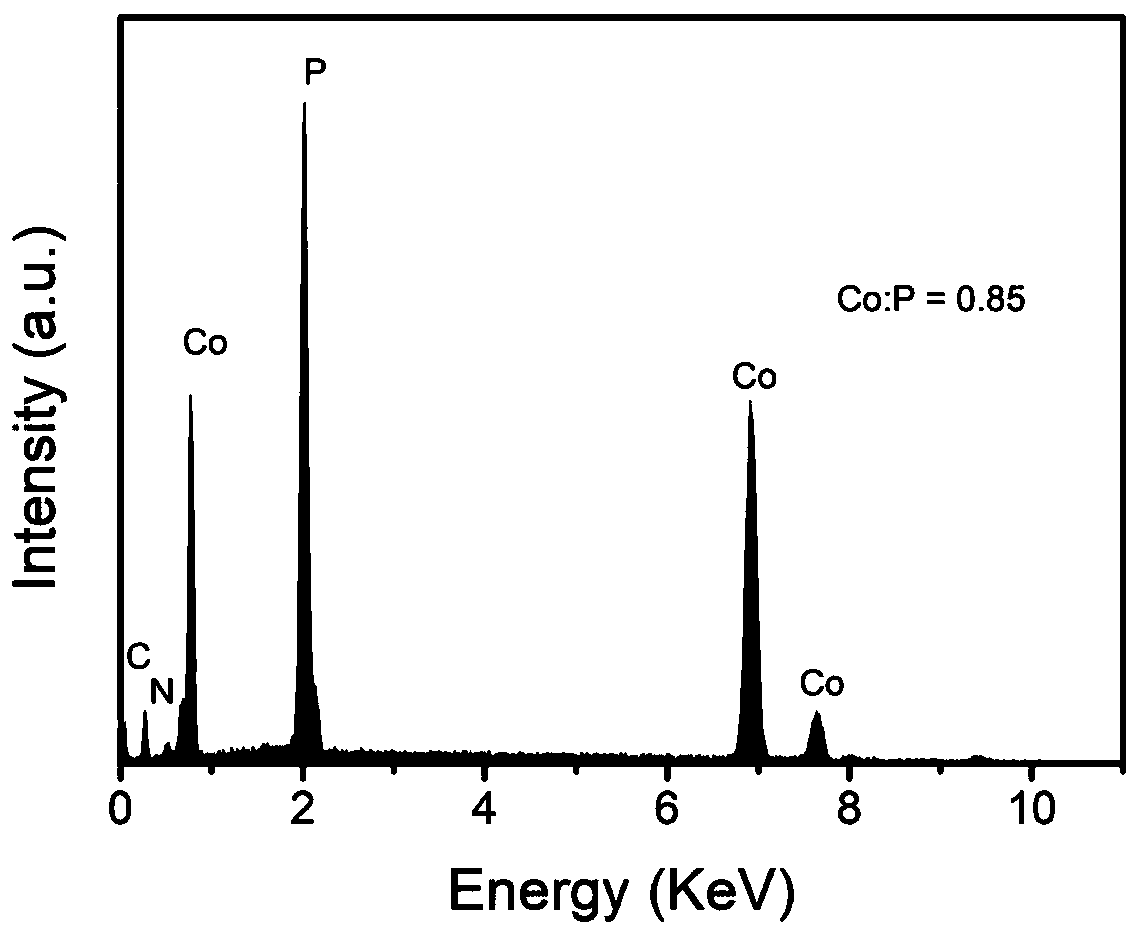 Nitrogen-doped cobalt phosphide/nanocarbon compound material and preparation method and application thereof