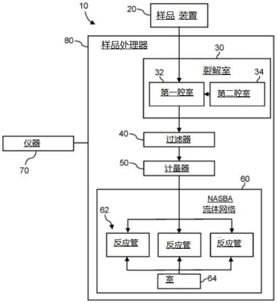 Method for detecting presence of severe acute respiratory syndrome coronavirus 2 in biological sample