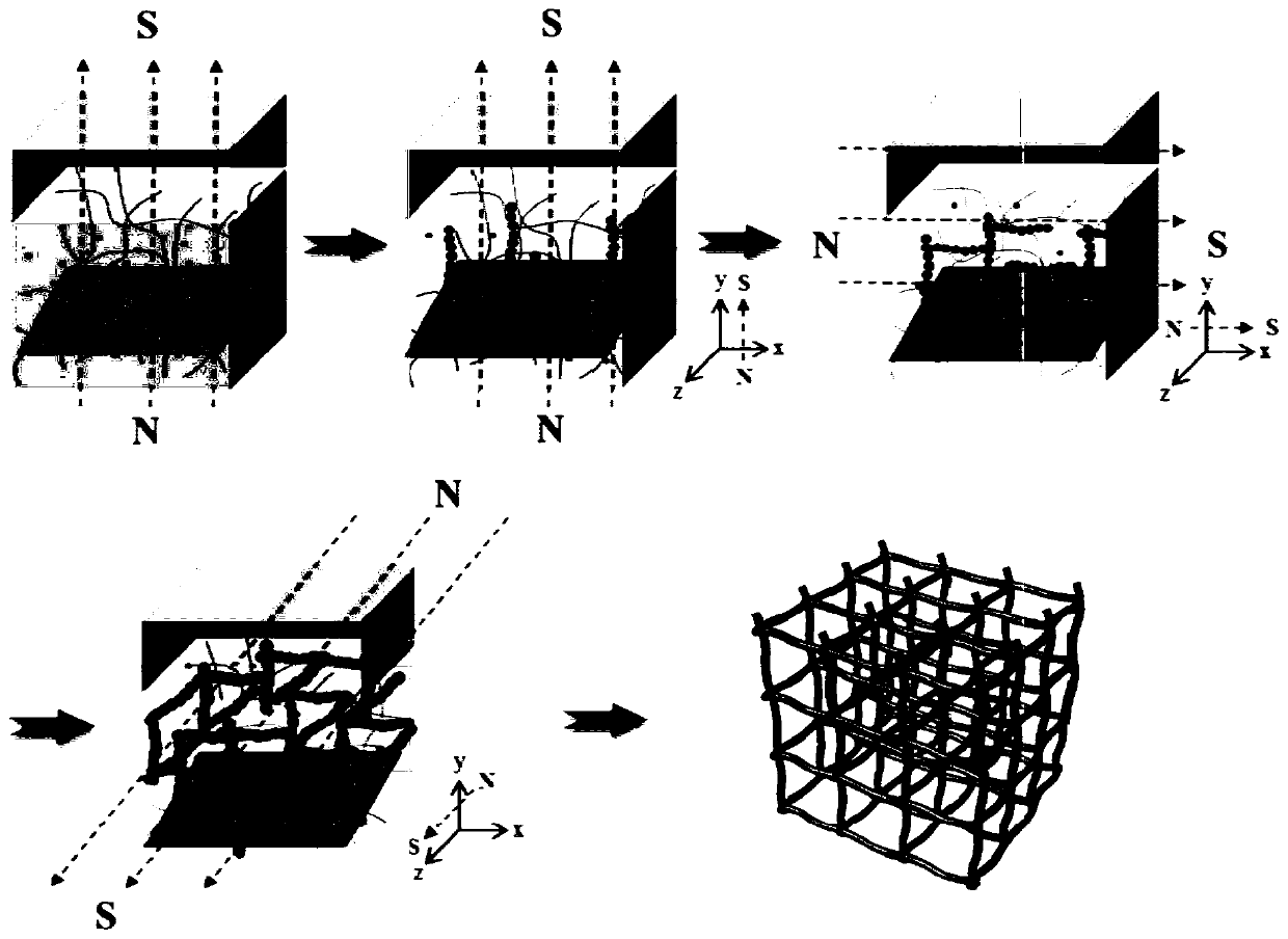 A kind of three-dimensional metal nanowire and its preparation method