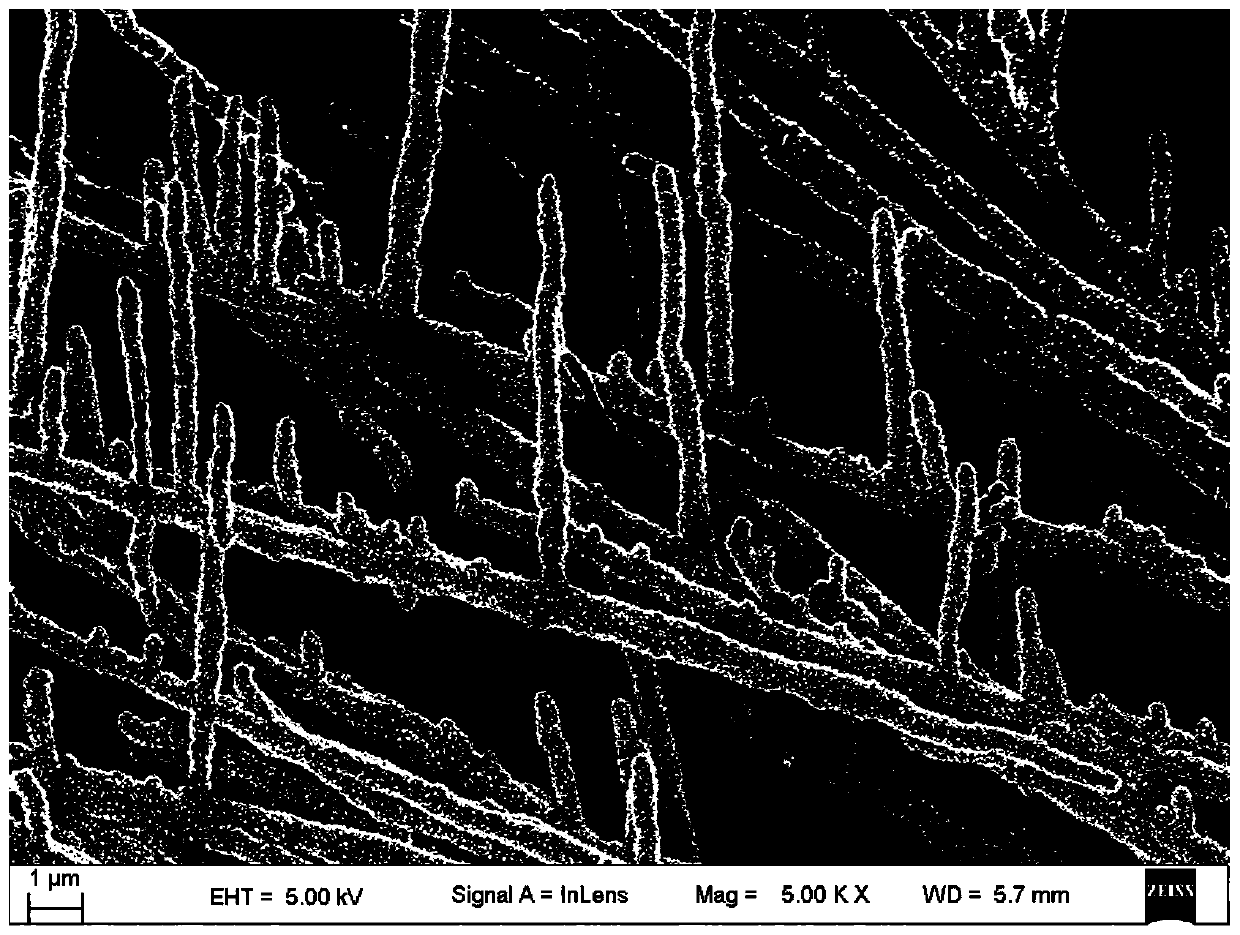 A kind of three-dimensional metal nanowire and its preparation method