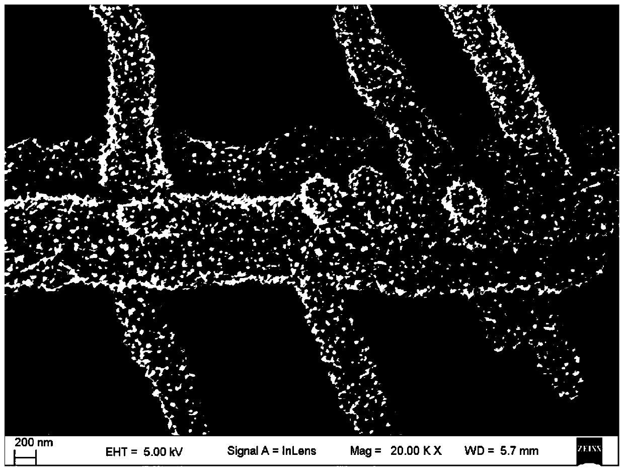 A kind of three-dimensional metal nanowire and its preparation method