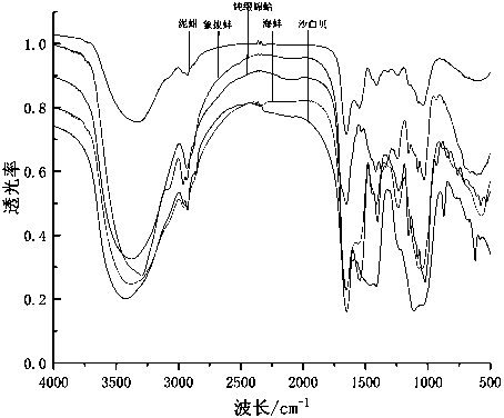 Shellfish heparin with mild anti-coagulation effect as well as preparation method and application thereof