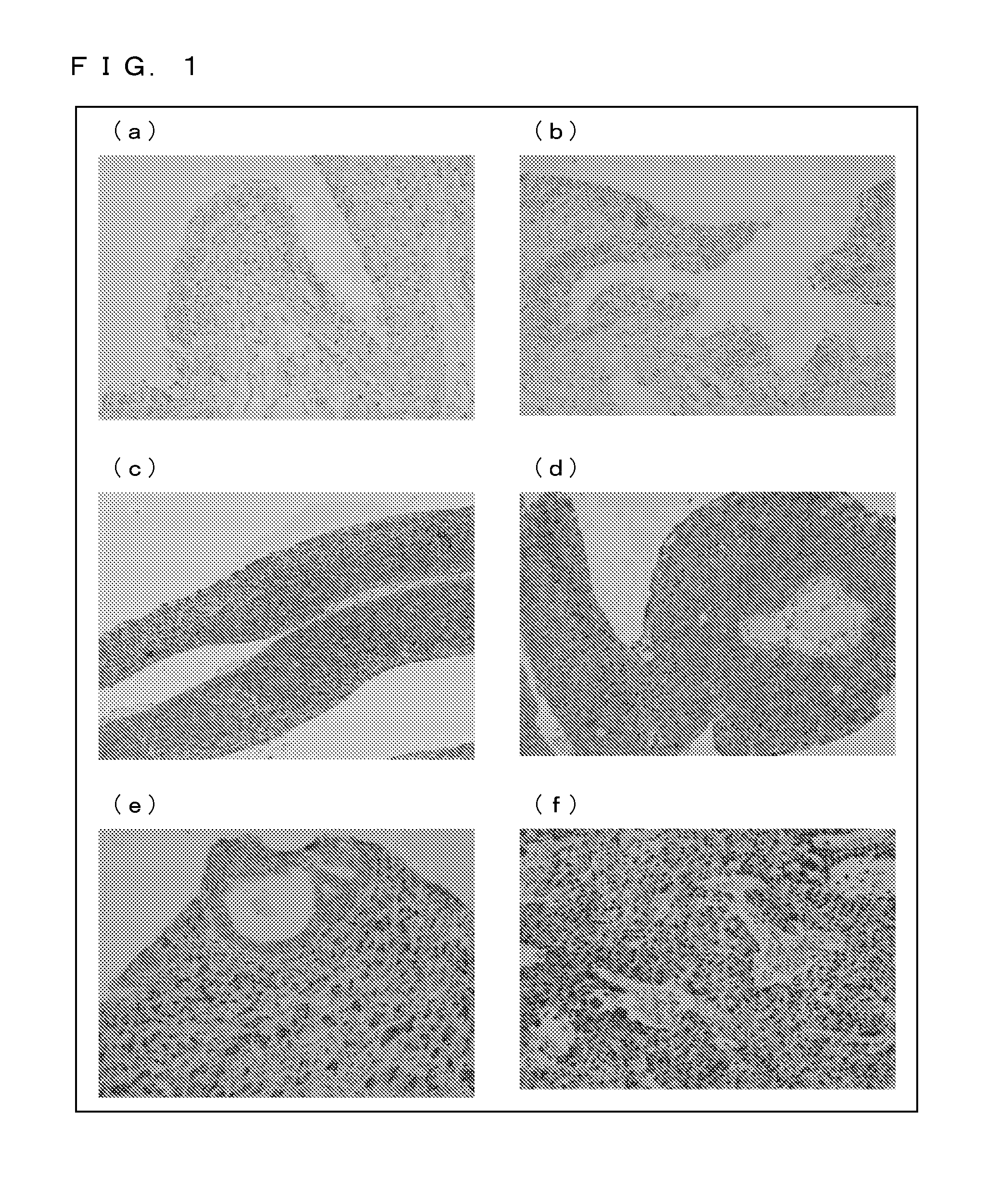 Novel cancer marker and utilization thereof