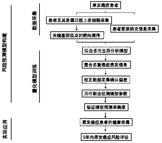 Method for predicting cancer risk based on hereditary gene mutation