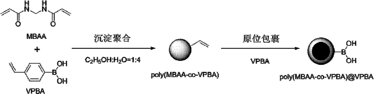 Monodisperse core-shell structure polymer nano particle as well as preparation and application thereof