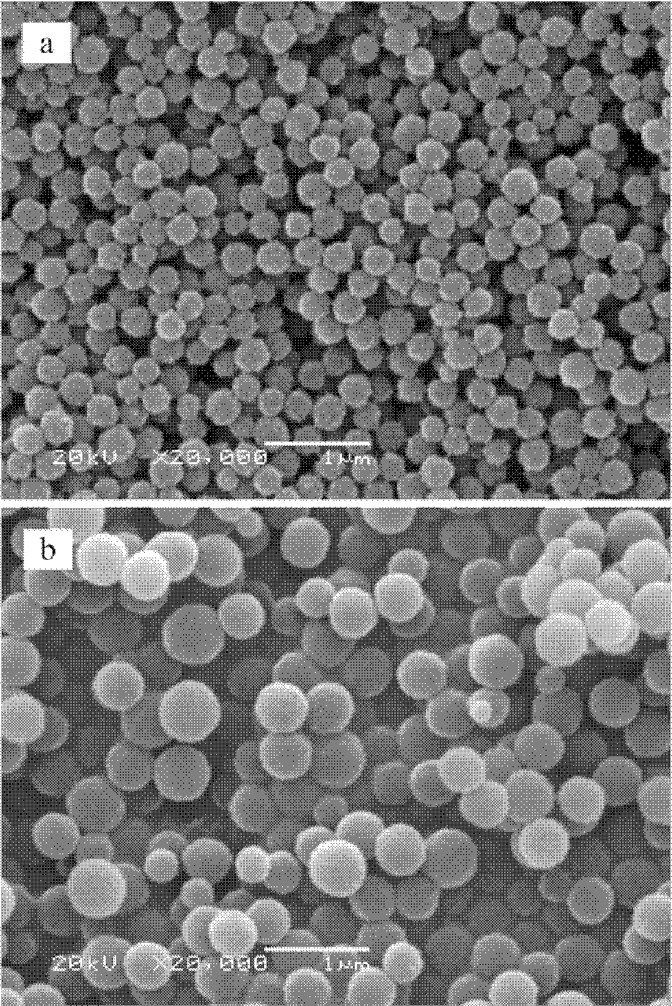 Monodisperse core-shell structure polymer nano particle as well as preparation and application thereof