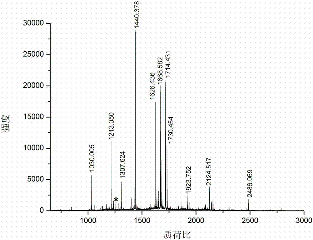 Hydrophobic group modification-based protein N-terminal enrichment method