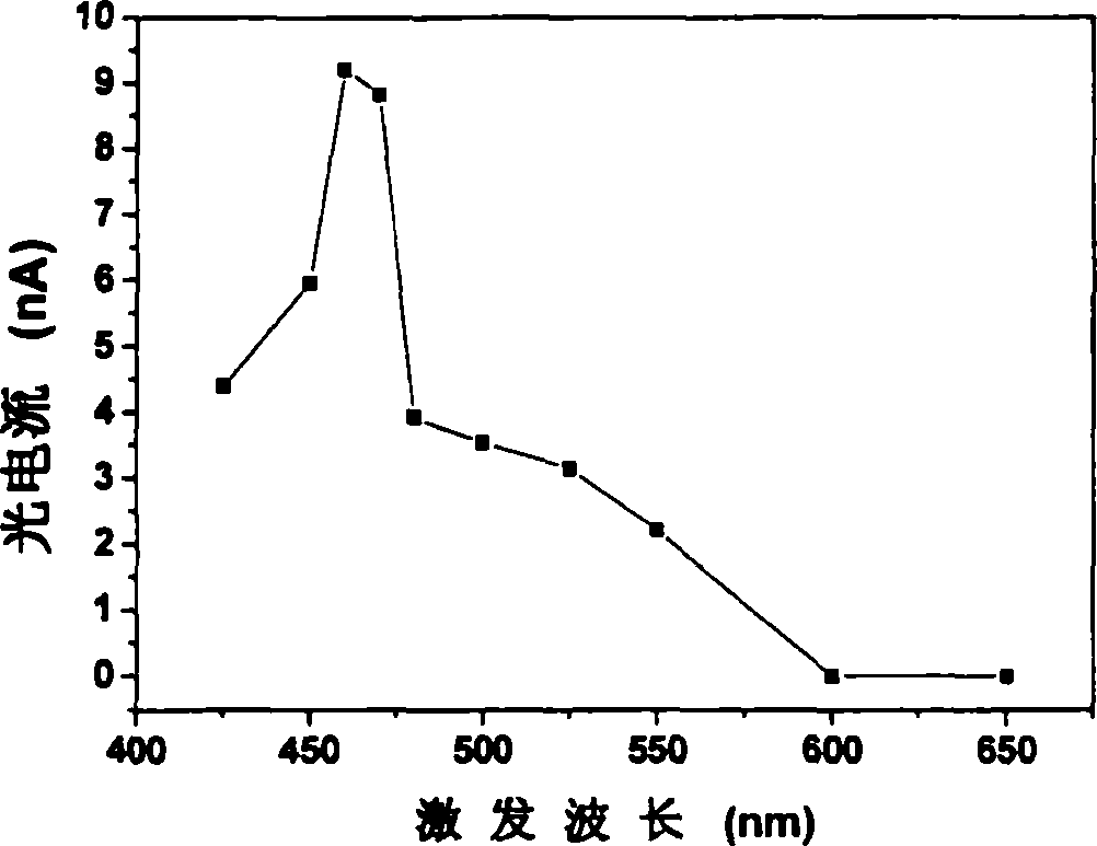 Photo-electro-chemical method for detecting nucleic acid