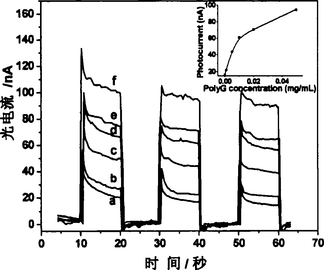 Photo-electro-chemical method for detecting nucleic acid