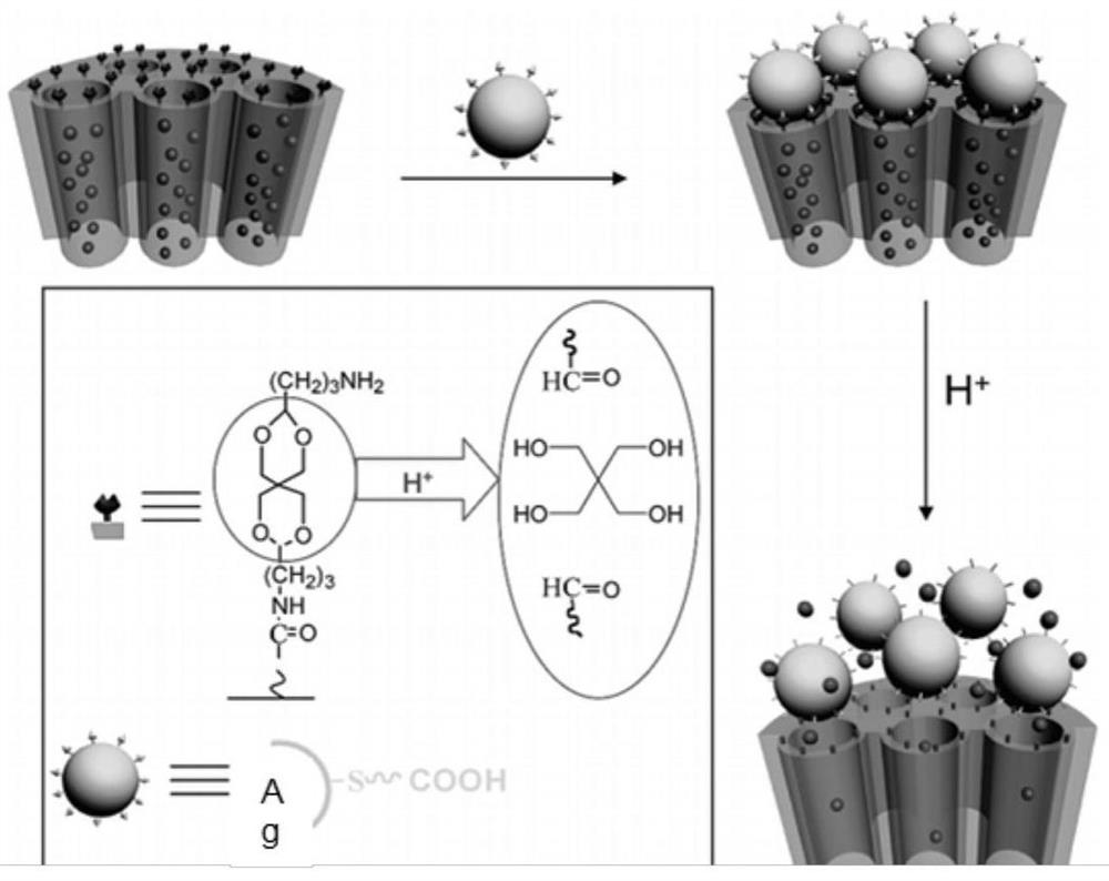 Implant with biological activity and conditional pH antibacterial property