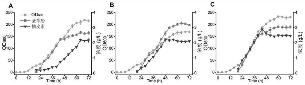 Flavonoid 3beta-hydroxylase mutant with improved catalytic activity and application of flavonoid 3beta-hydroxylase mutant