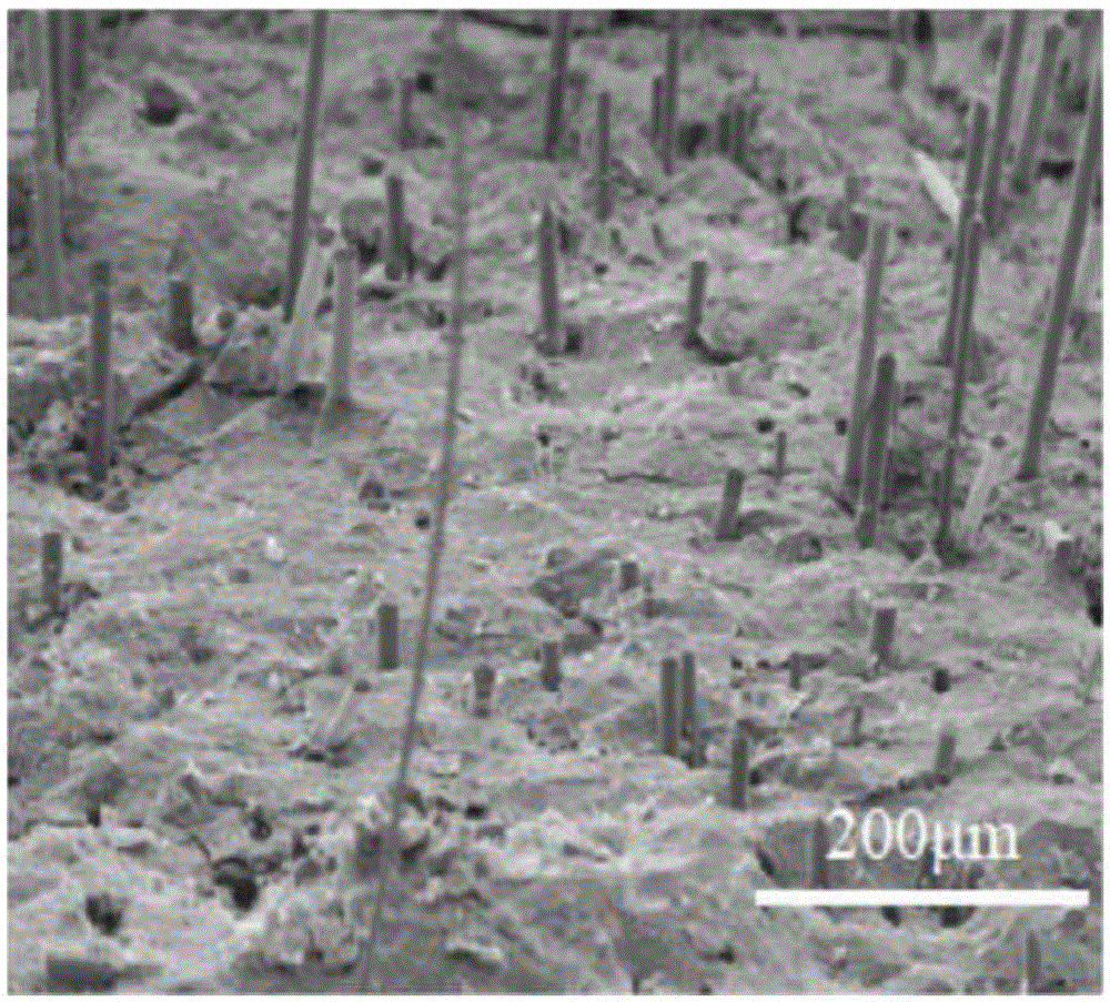 Preparation method for chopped silicon carbide fiber reinforced aluminosilicate polymer composite material