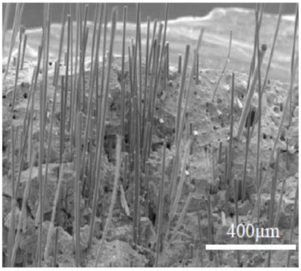 Preparation method for chopped silicon carbide fiber reinforced aluminosilicate polymer composite material