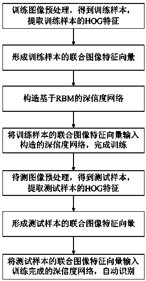 Pest image automatic recognition method based on high-reliability network