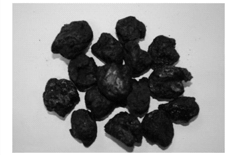 Method for processing prepared rehmannia root, and product and application thereof