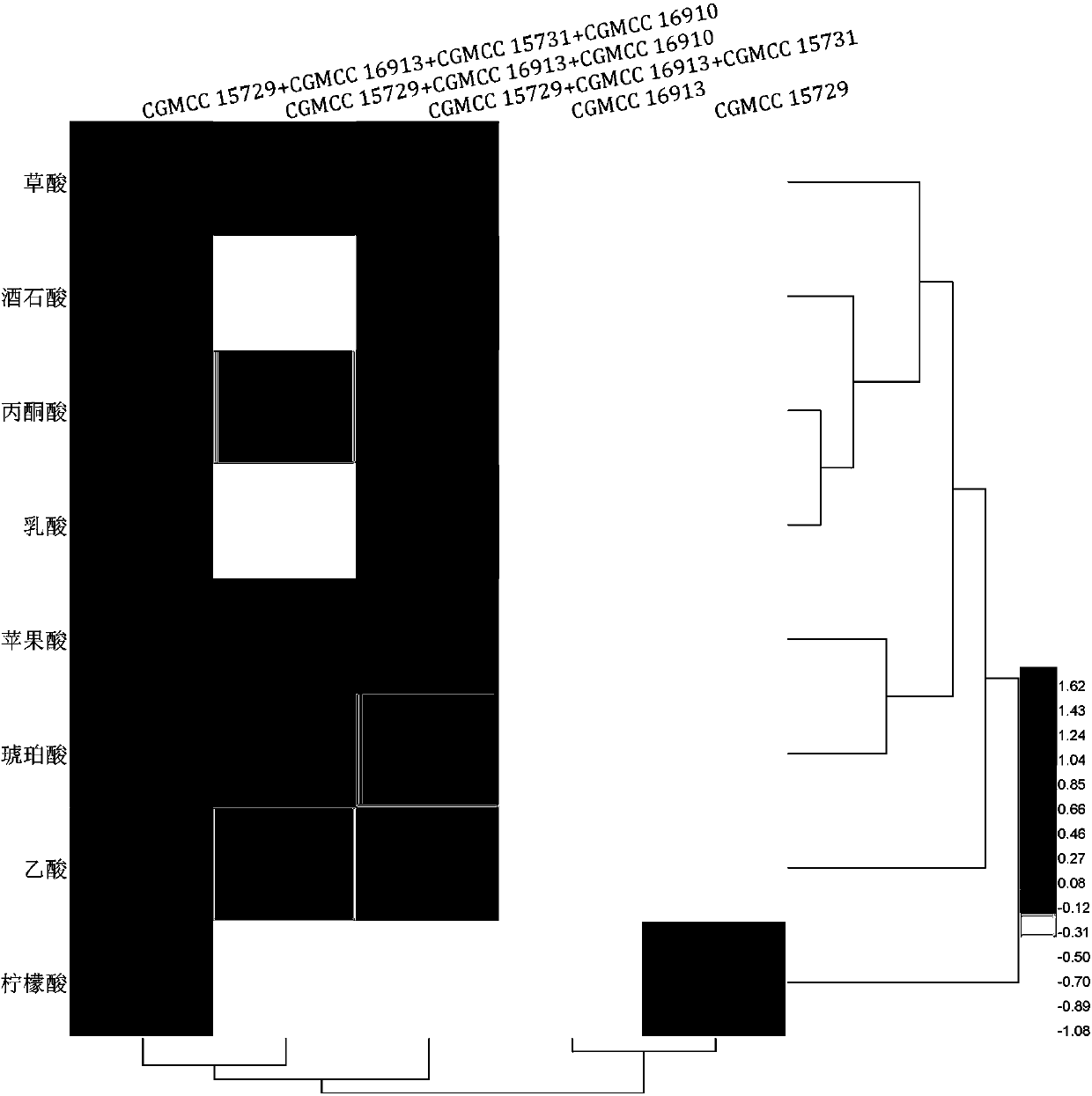 Development and multi-stage strengthening method for Shanxi mature vinegar composite bacterial agent based on bacteria strain interaction