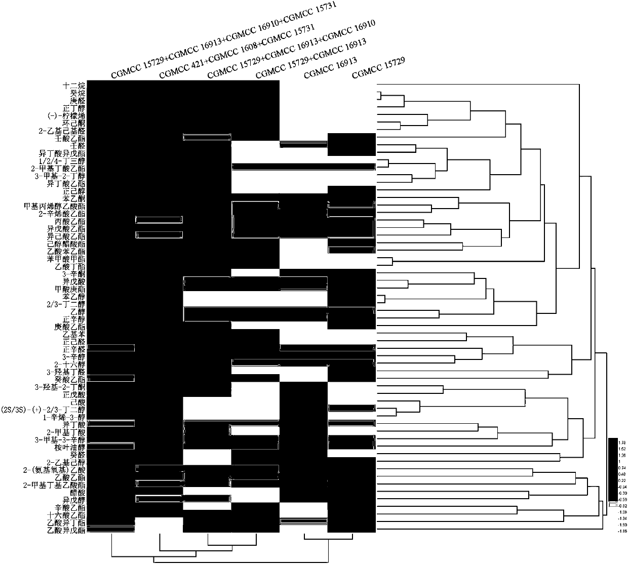 Development and multi-stage strengthening method for Shanxi mature vinegar composite bacterial agent based on bacteria strain interaction