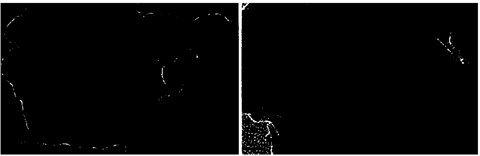 Applications of nanometer iron-palladium double-metal composite material, method for removing nitrates and phosphates in water, and subsequent treatment method