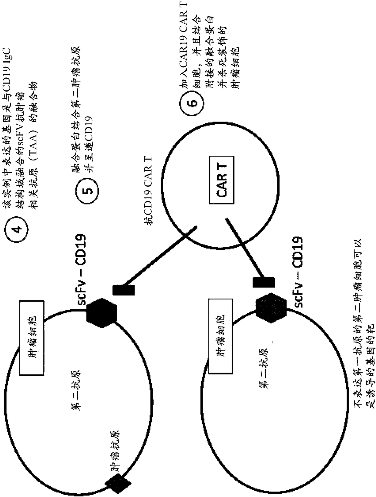 Compositions and methods for treatment of cancer