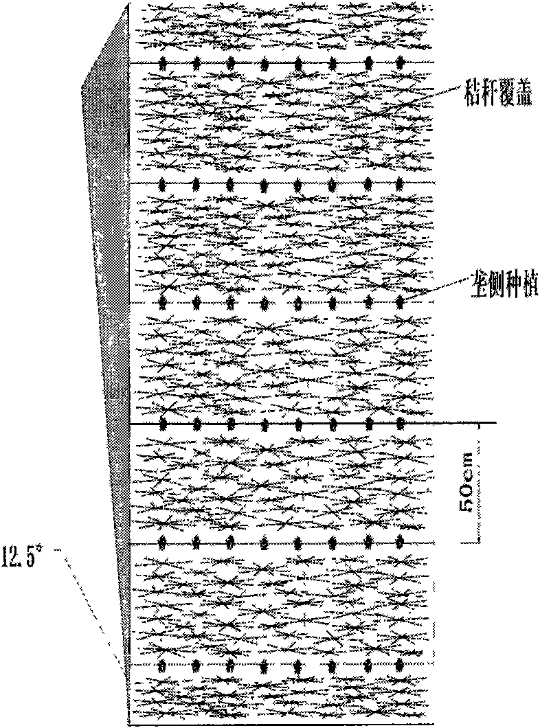 Erosion-reducing tillage method for slope soil