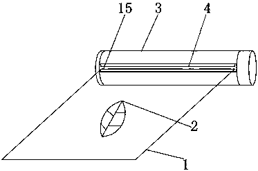 Multifunctional preservative film