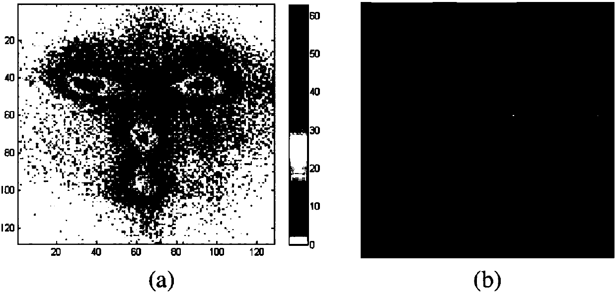 Human face aesthetic prediction method based on combination of biologically inspired computation and deep attribute learning