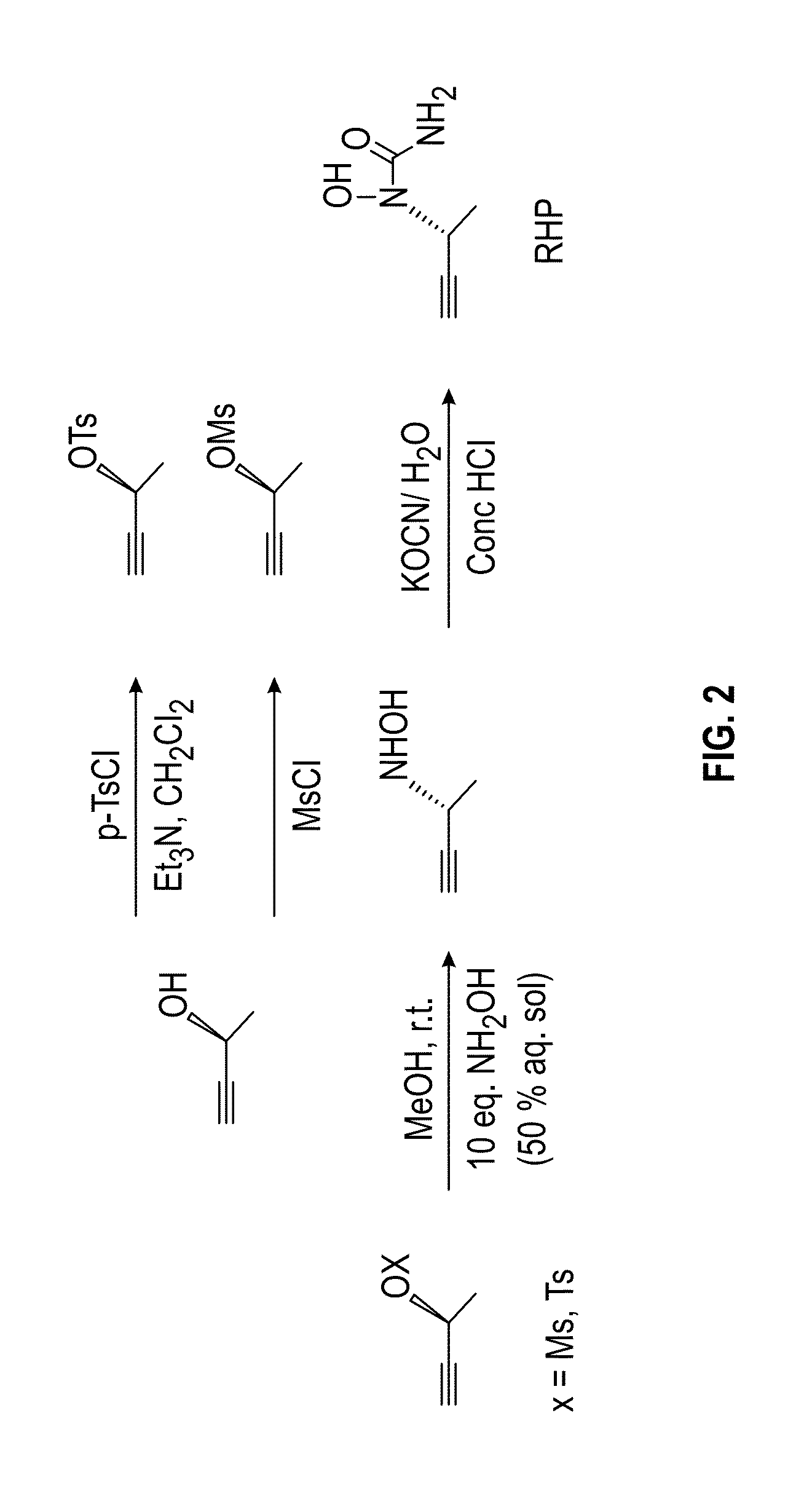 Phenylalkyl n-hydroxyureas for treating leukotriene related pathologies