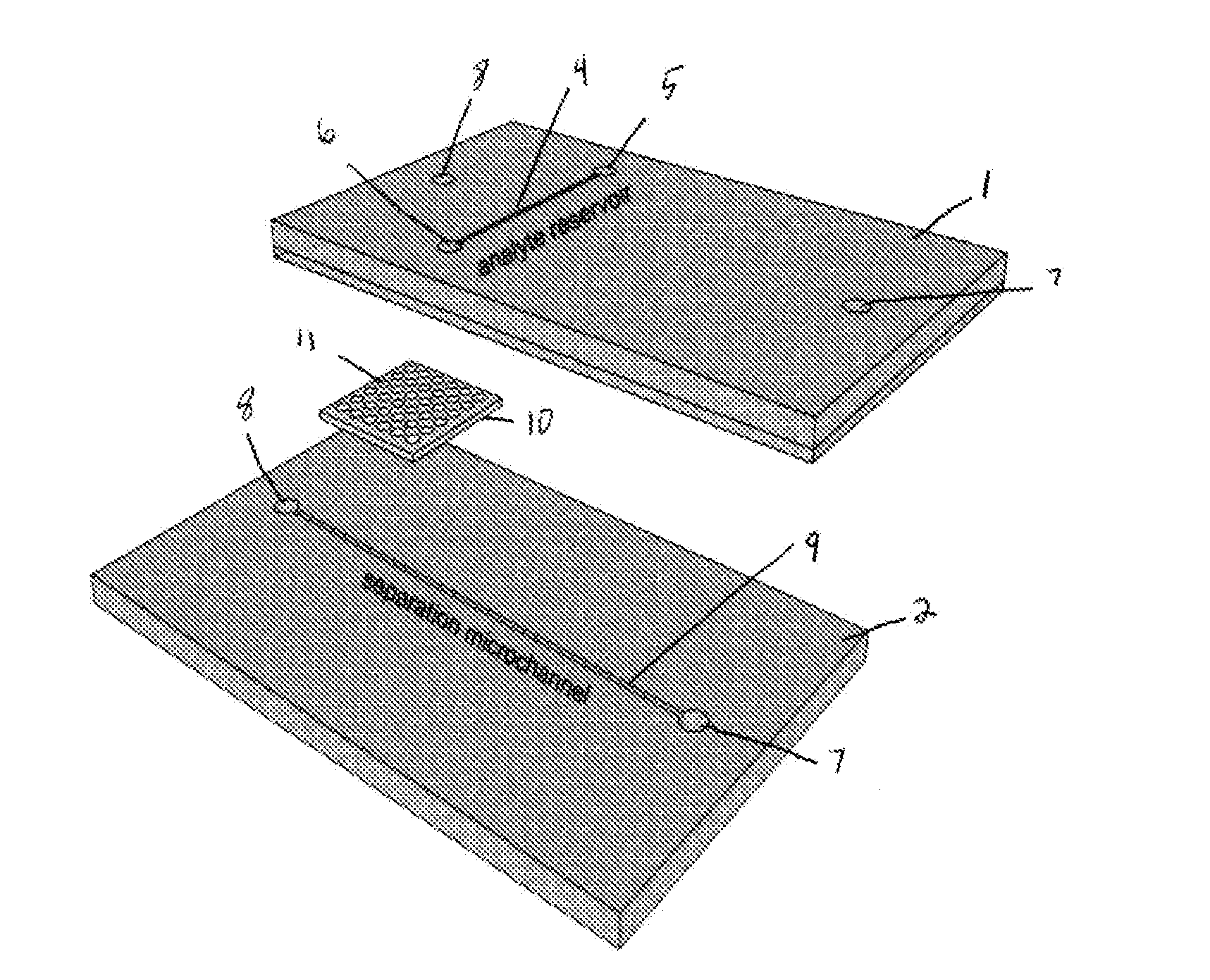 Non-aqueous microchip electrophoresis for characterization of lipid biomarkers