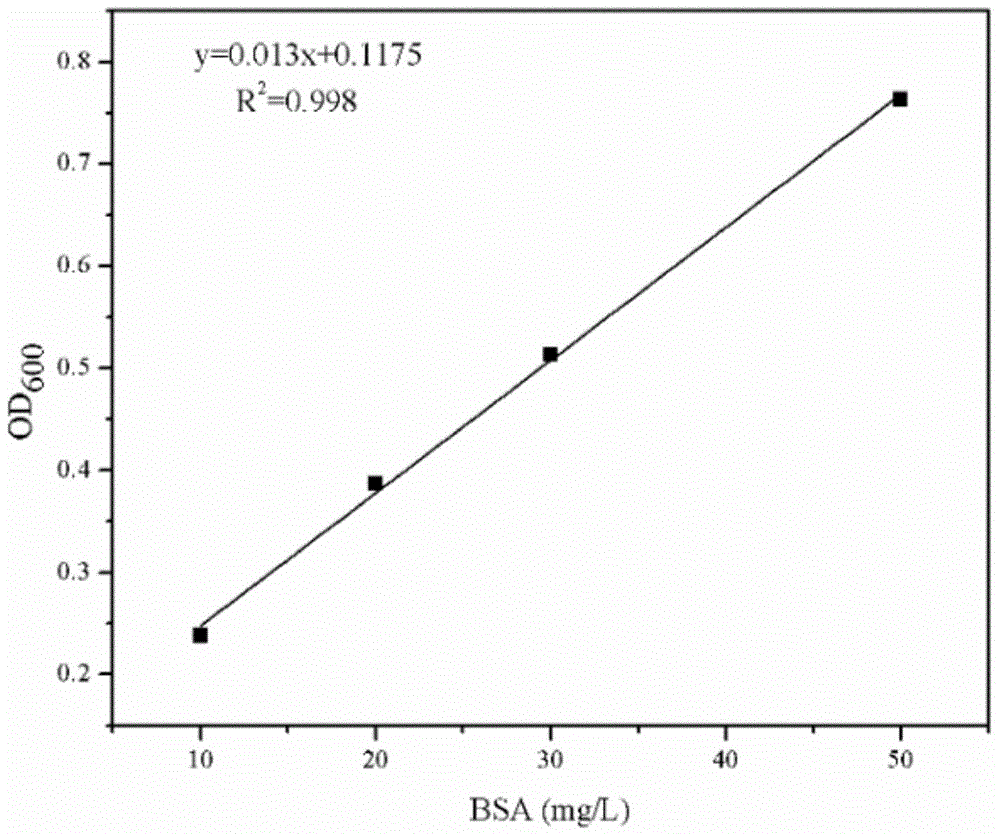 Bacillus subtilis-coded PRPP (Phosphoribosyl Pyrophosphate) transamidase mutant gene pruF and application thereof