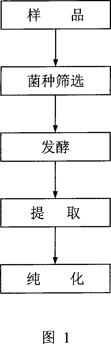 Method for sifting and producing generation agent of dual-rhamnolipid