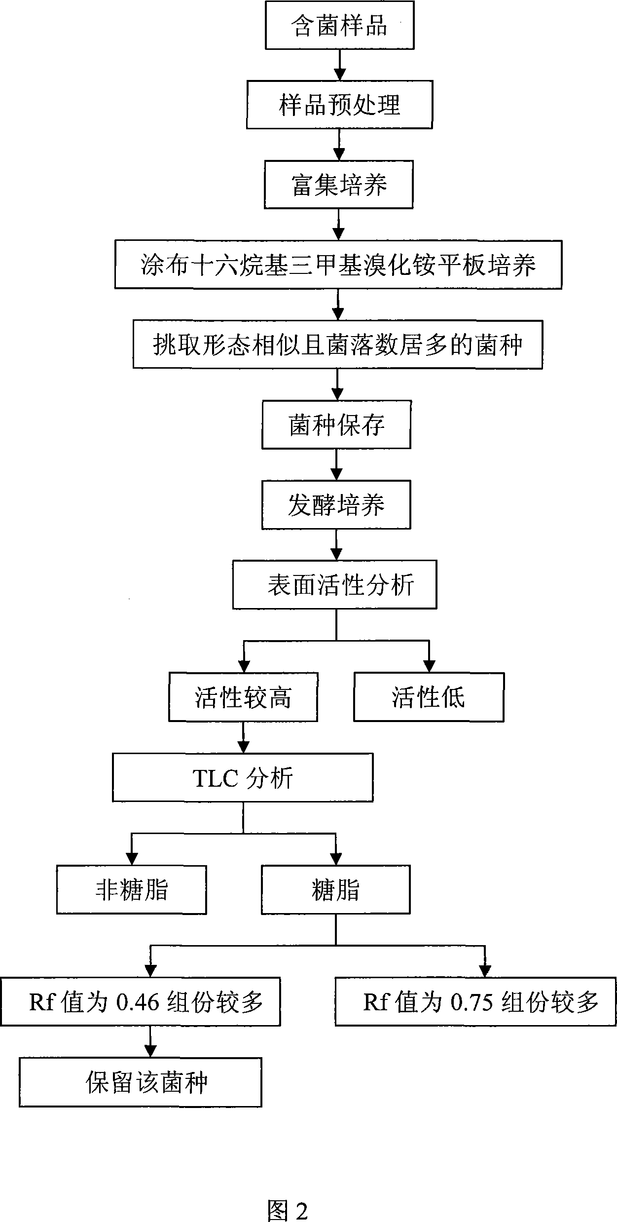 Method for sifting and producing generation agent of dual-rhamnolipid