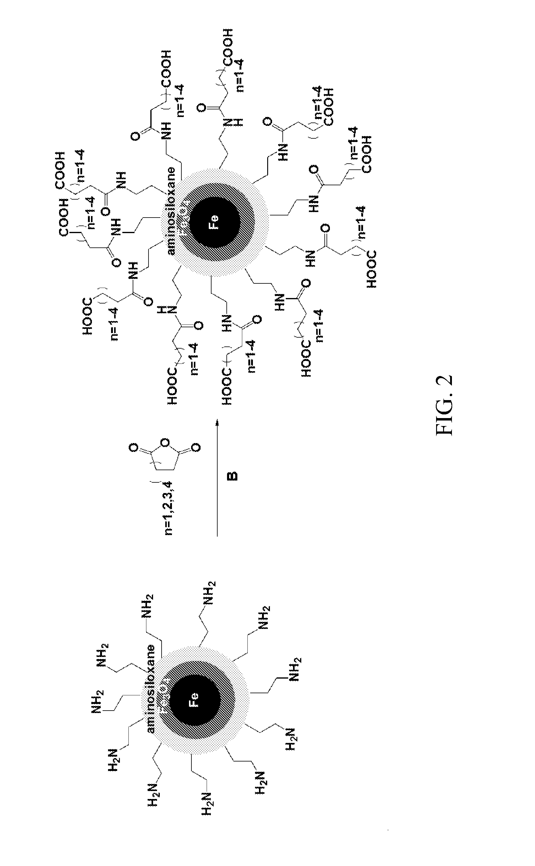 Acid-functionalized nanoparticle catalyst and catalyzed reactions using the same