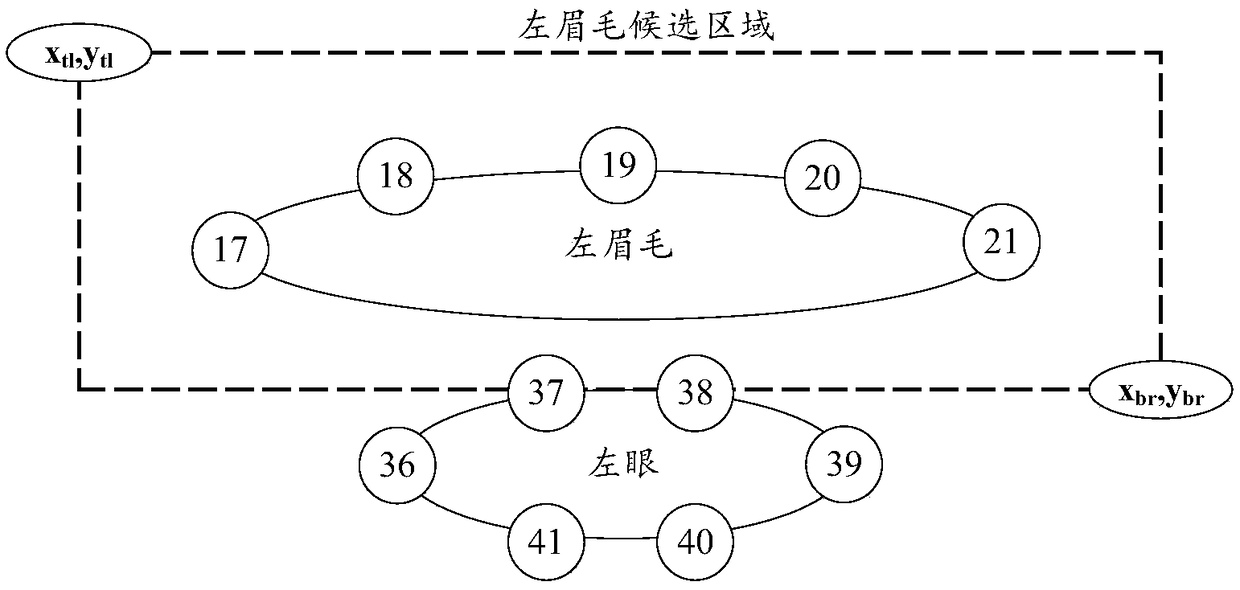 Eyebrow image segmentation method and system