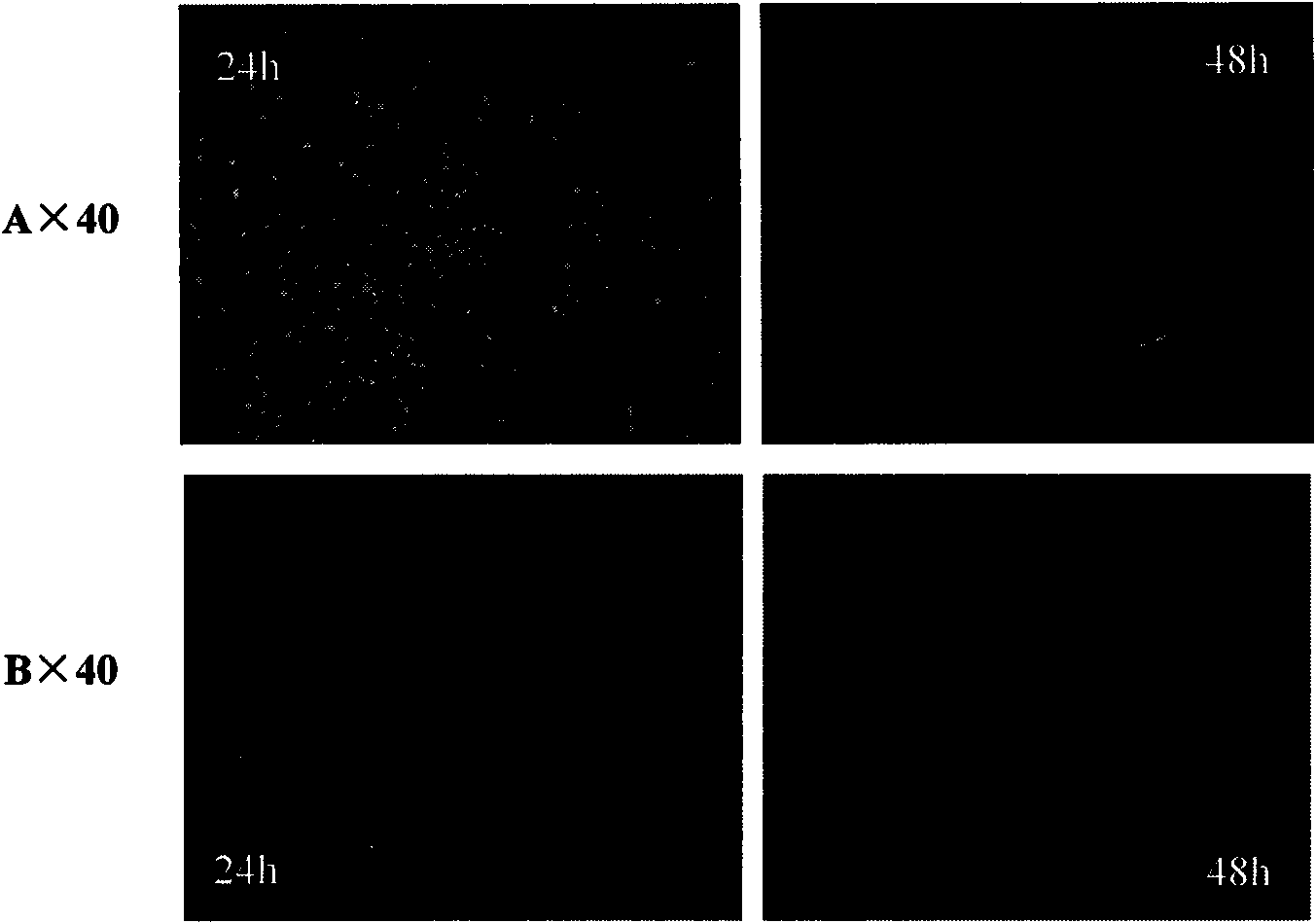 New use of glyoxal bis (thiosemicarbazone) compound