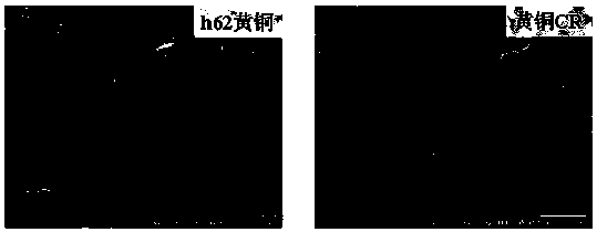 Cathode material for generating ratio-controllable synthesis gas through carbon dioxide reducing under electrocatalysis, preparation method and application