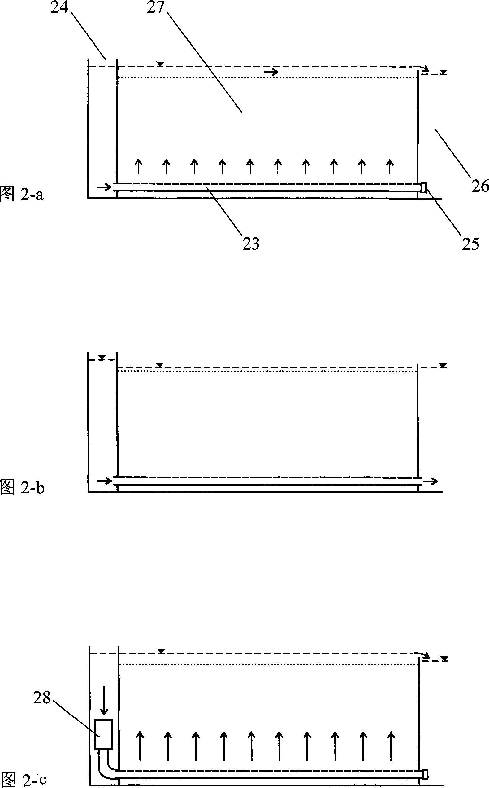 Wet land technique for deep purification of tail water of sewage plant