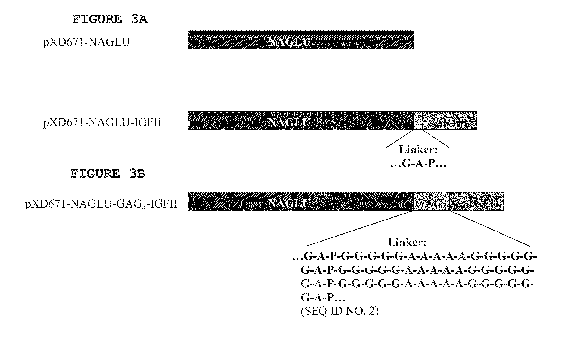 Peptide linkers for polypeptide compositions and methods for using same