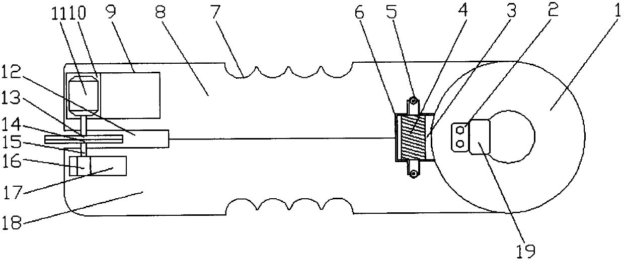 Evisceration device used for poultry anatomical experiments