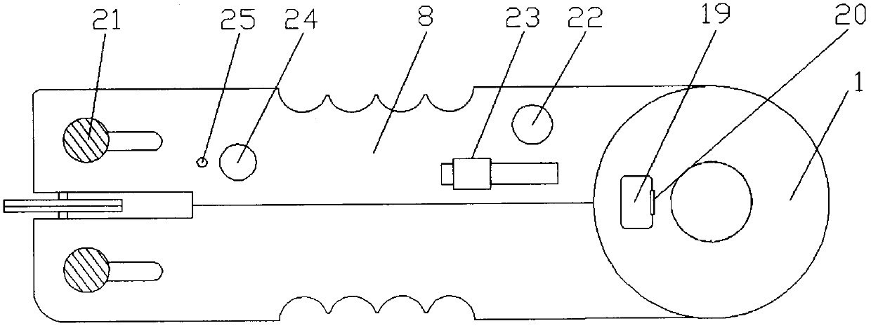 Evisceration device used for poultry anatomical experiments