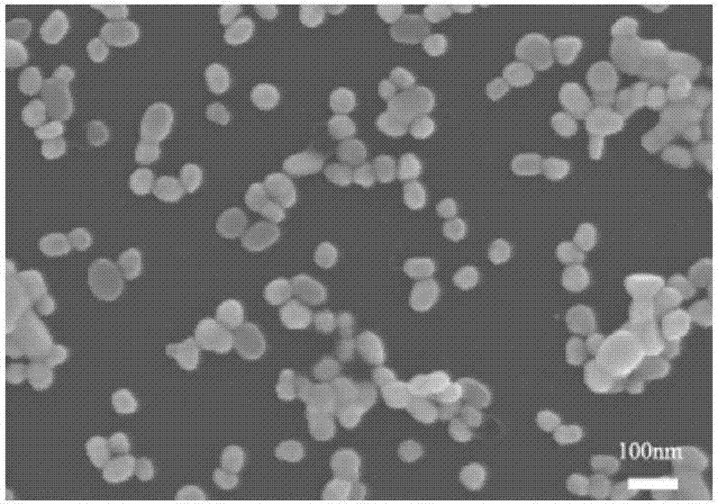 Method for detecting SERS of aflatoxin B1 molecules based on molecularly imprinted polymer coated gold core-shell nanoparticles