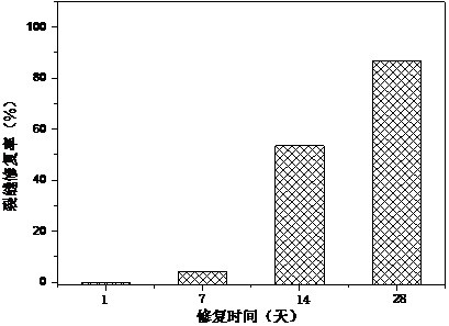 A kind of preparation method and application of cement-based material additive