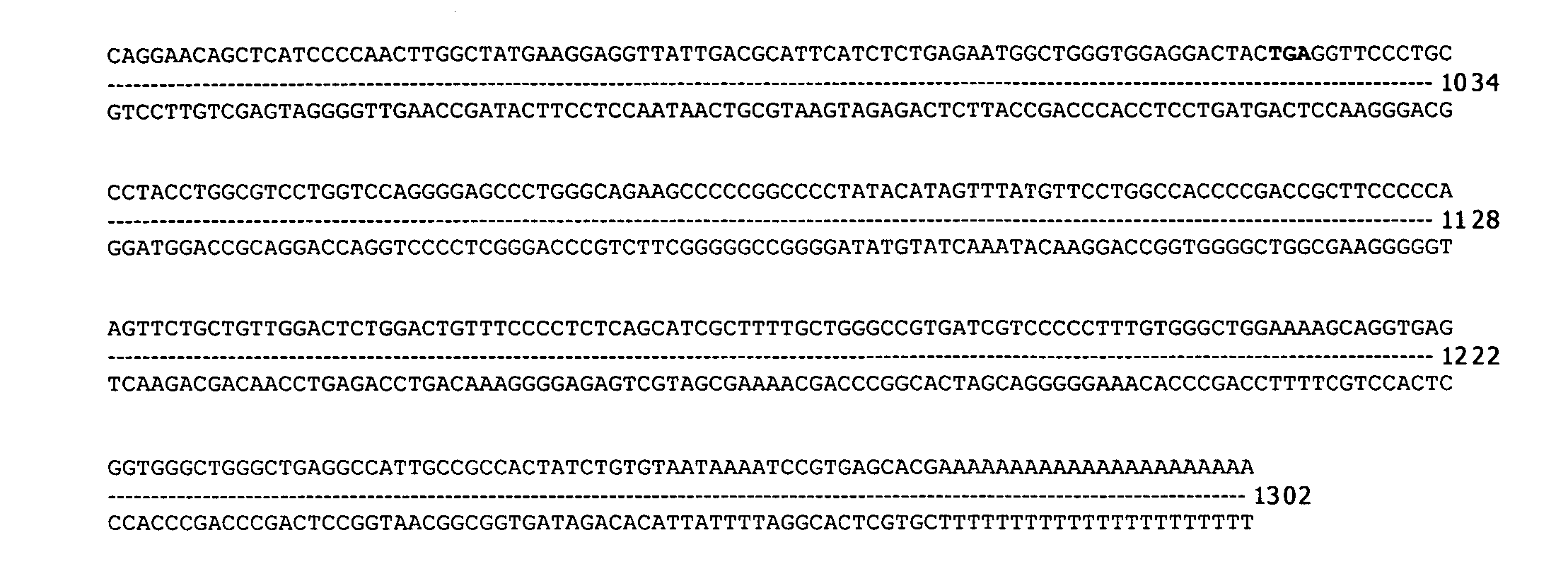 ME-5, ME-2, and EPP2: human protein antigens reactive with autoantibodies present in the serum of women suffering from endometriosis