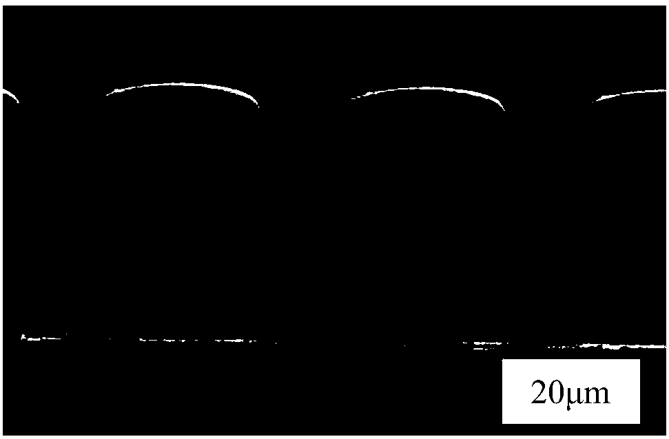 Biomimetic material as well as preparation method and application thereof