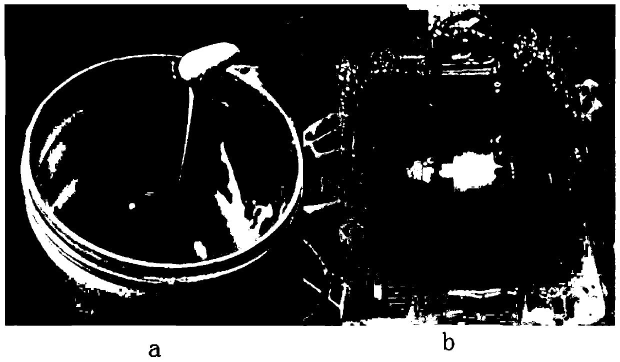 Nanometer titanium dioxide ceramic paste material for photocuring and preparation method thereof