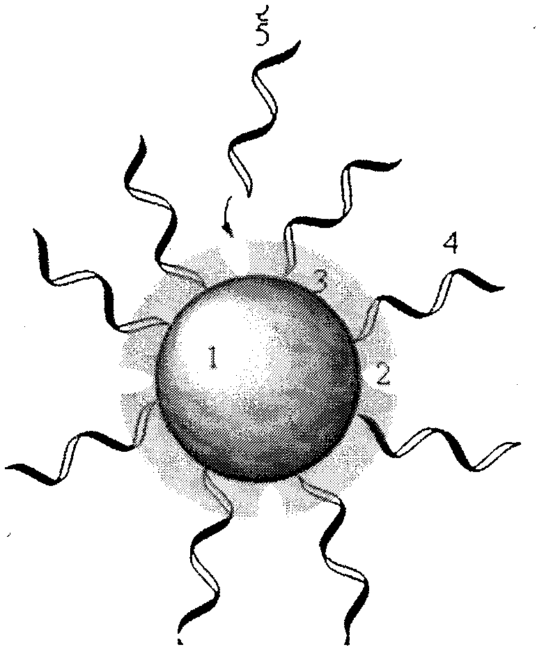 Preparation and use method of stereo floating protein molecule imprinting chromatographic stationary phase