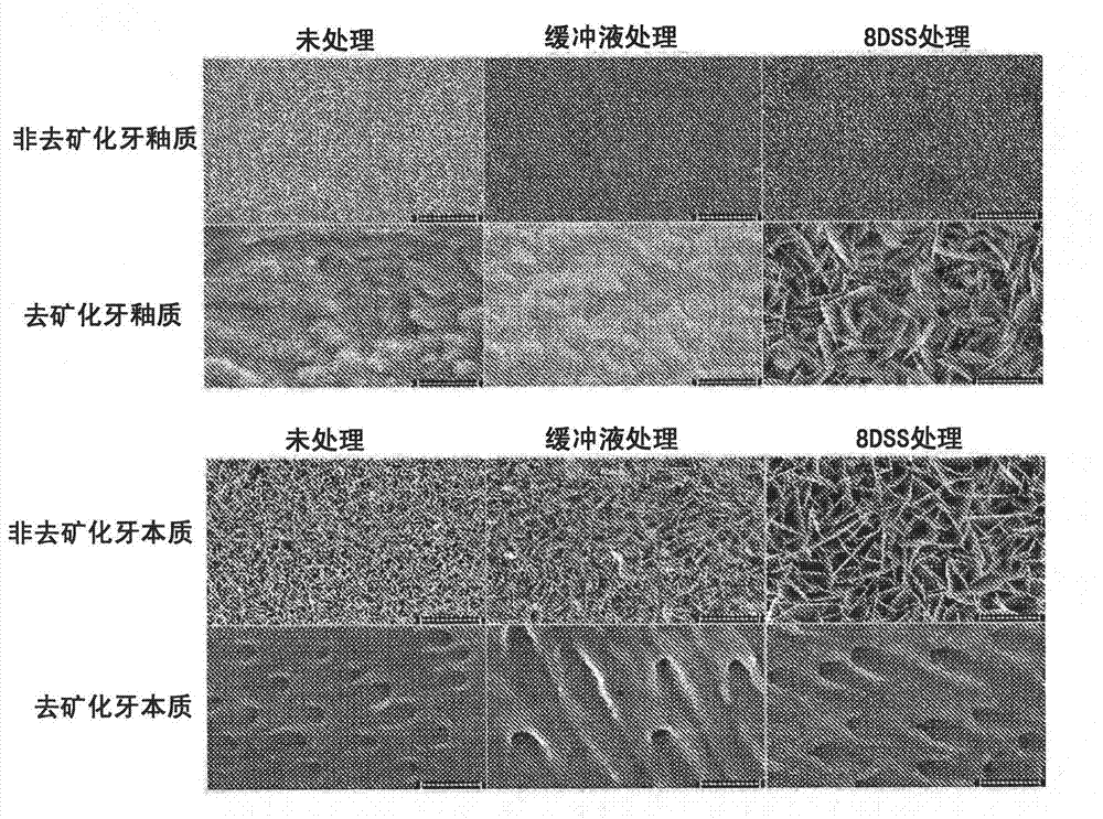 Calcium-binding agents induce hair growth and/or nail growth