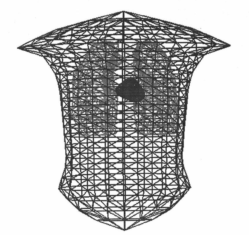 Method for detecting heart surface transmural potential distribution