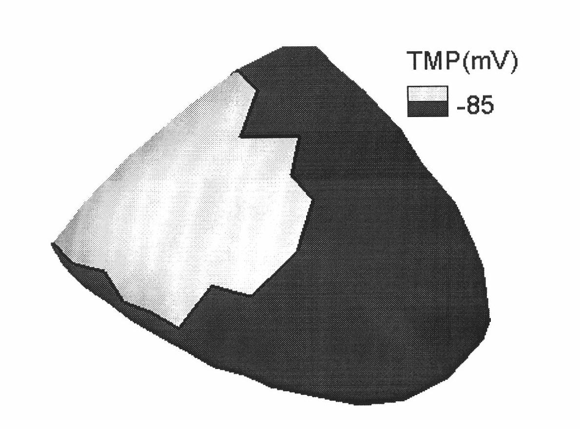 Method for detecting heart surface transmural potential distribution