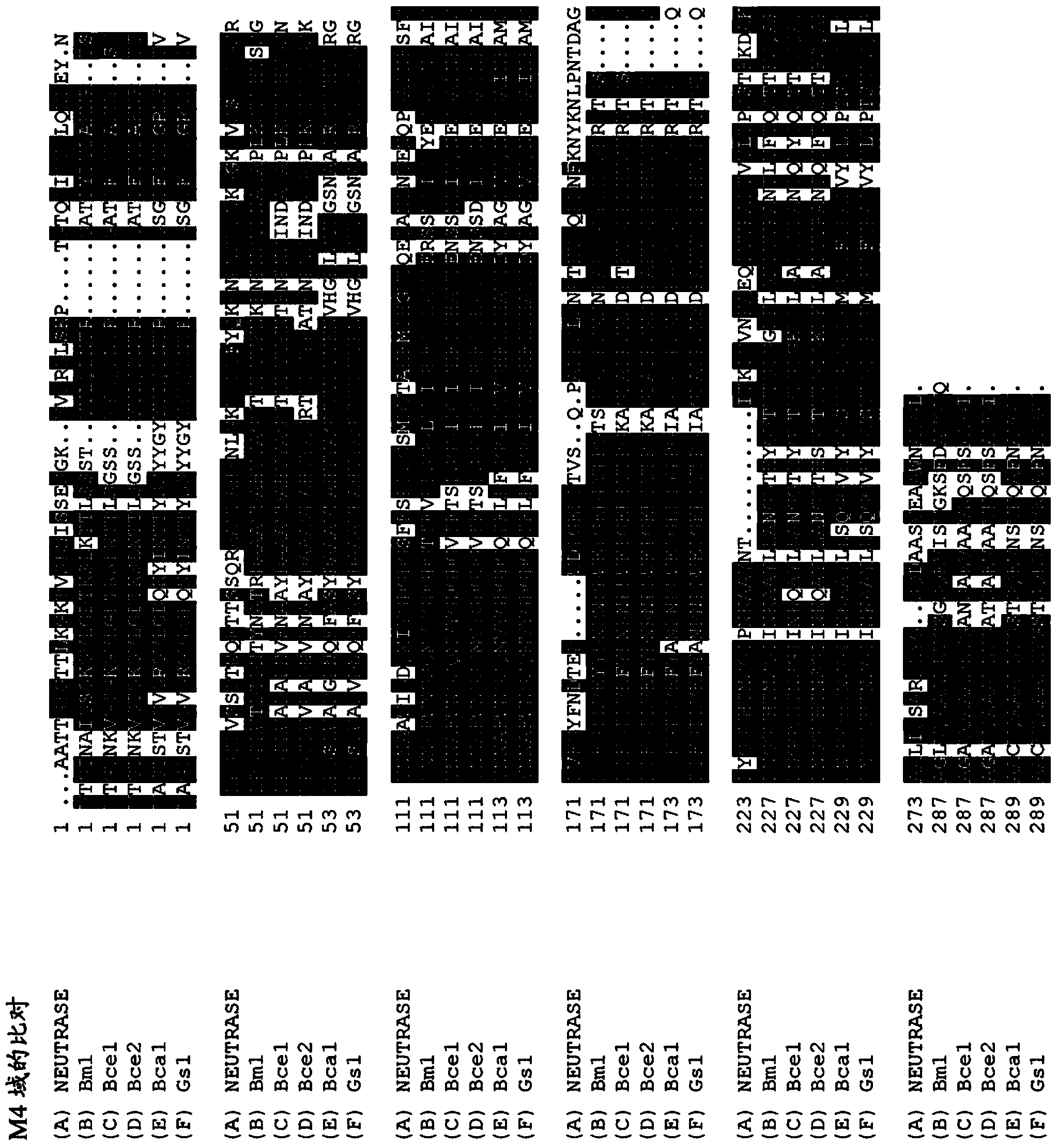 Detergent compositions comprising metalloproteases